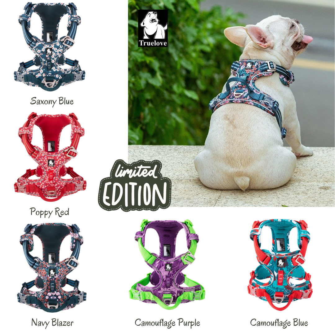 *NEW* Truelove Pet Harness