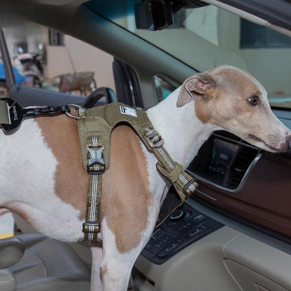 True Love Seat Belt Attachment