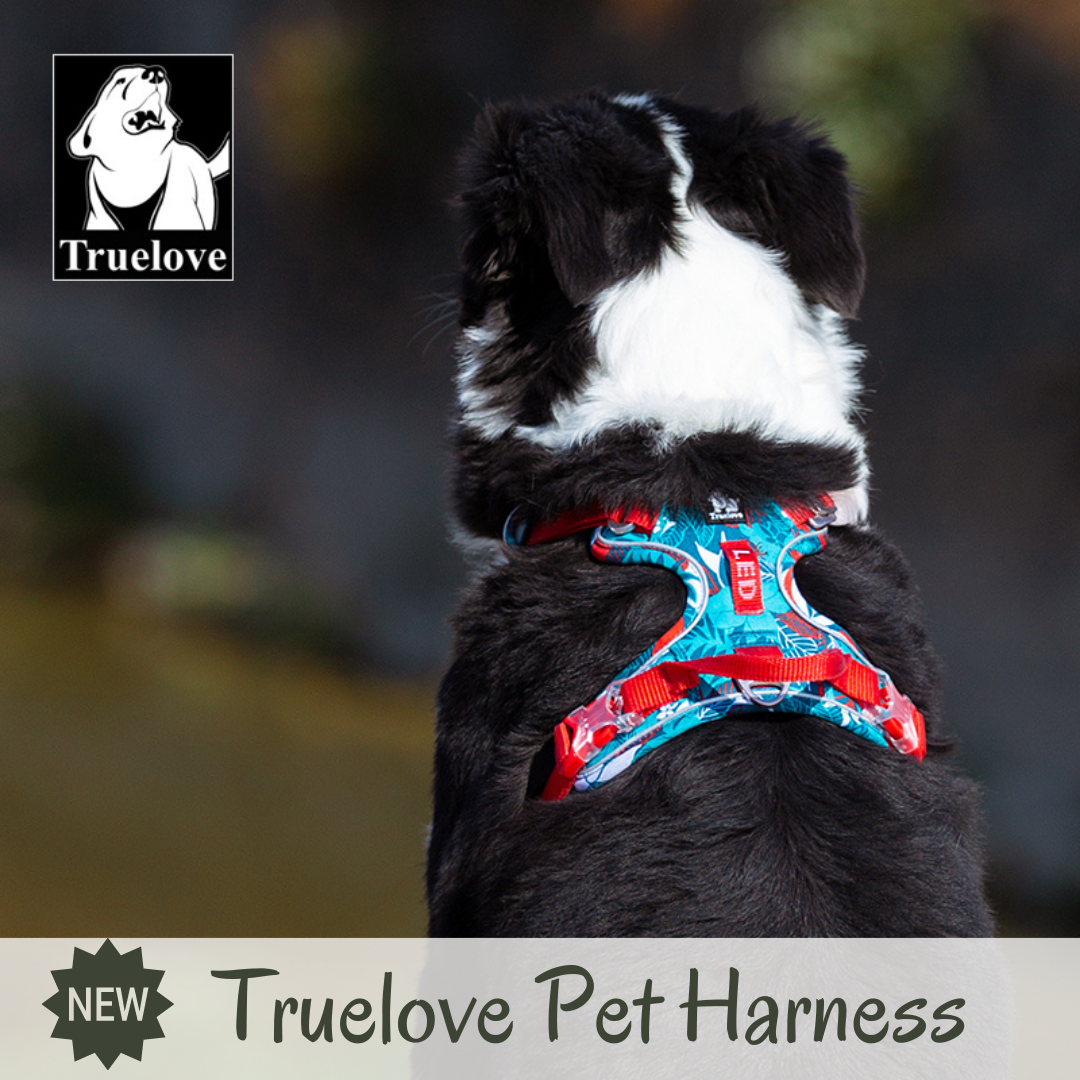 *NEW* Truelove Pet Harness