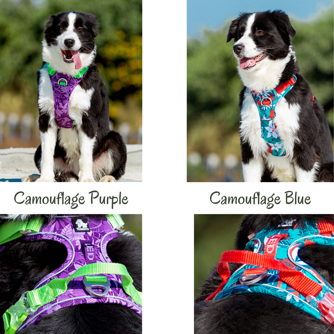 *NEW* Truelove Pet Harness