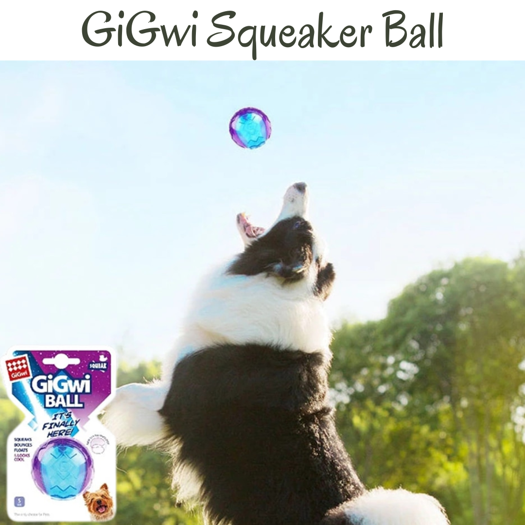 GiGwi Squeaker Ball