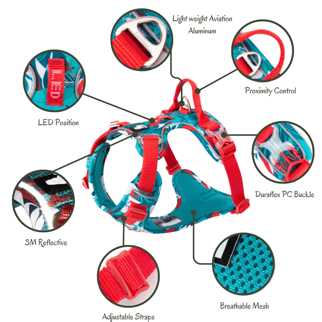 *NEW* Truelove Pet Harness