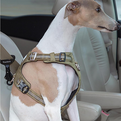 True Love Seat Belt Attachment